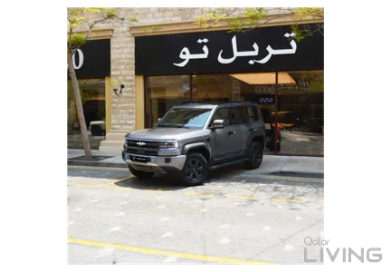 بي واي دي ليوبارد 5 2027